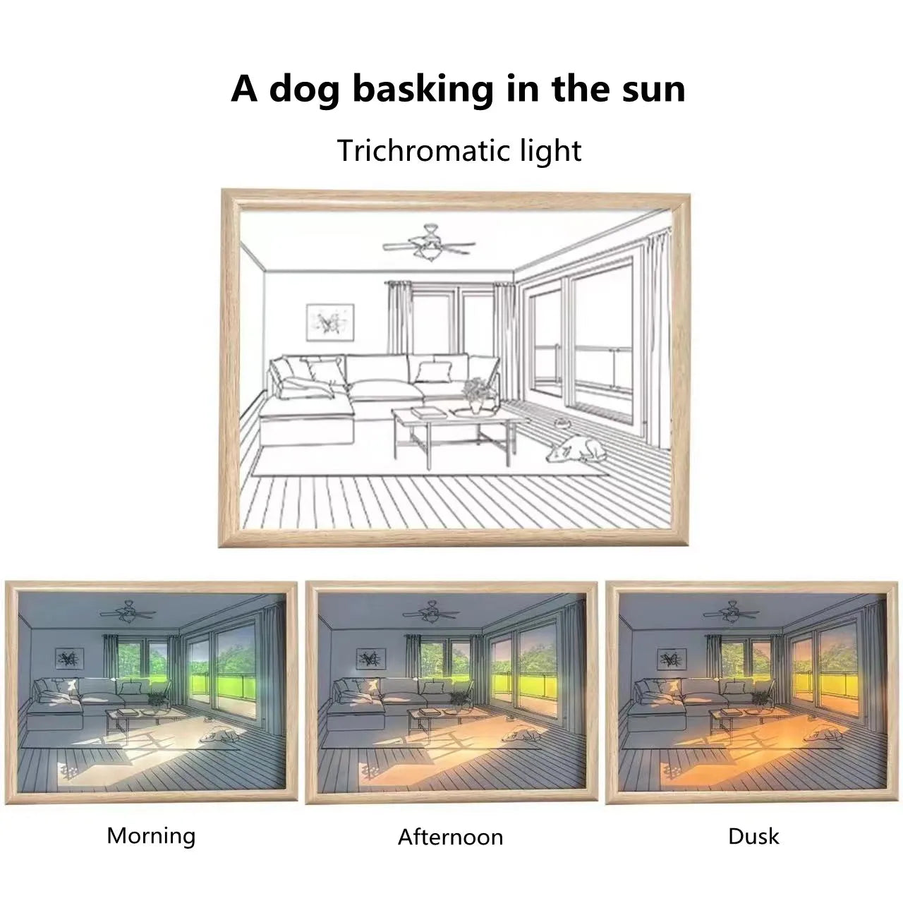 Scenic LED Light Painting A Dog In The Sun